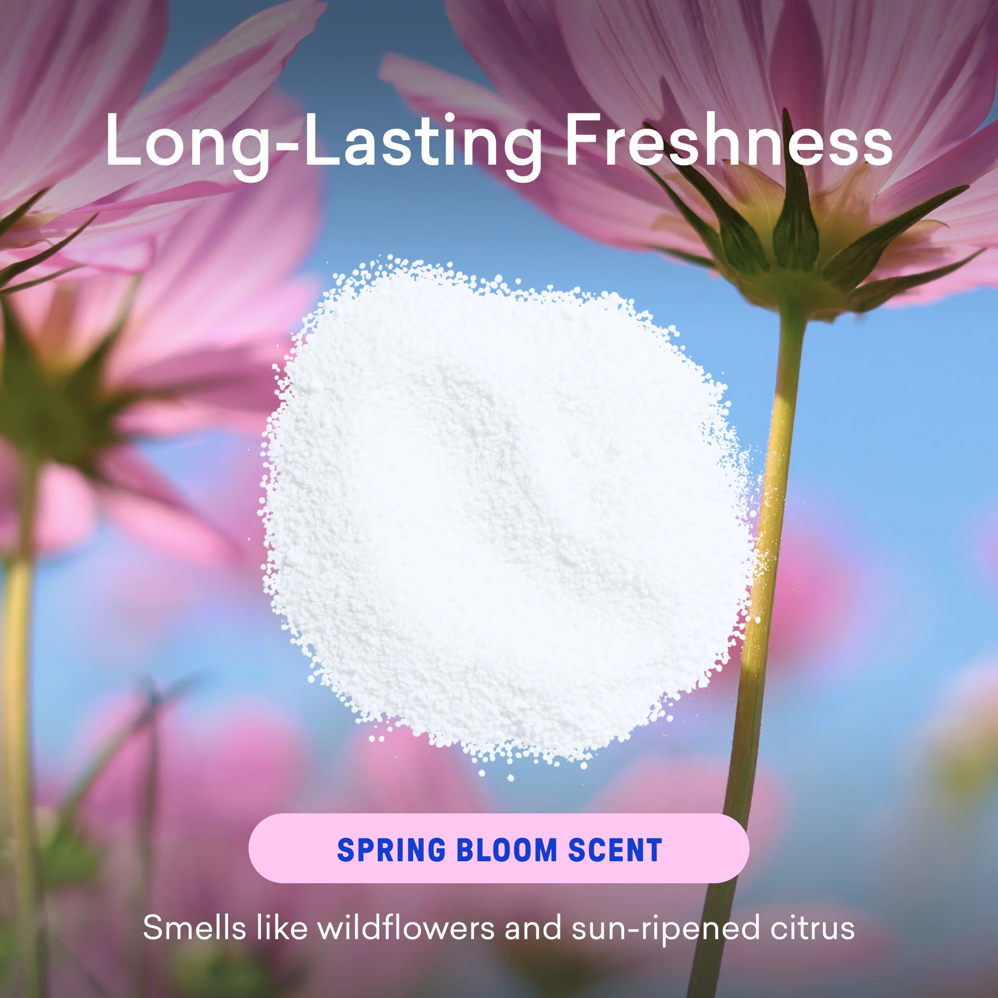 Oxi Laundry Booster Refills - Image 4