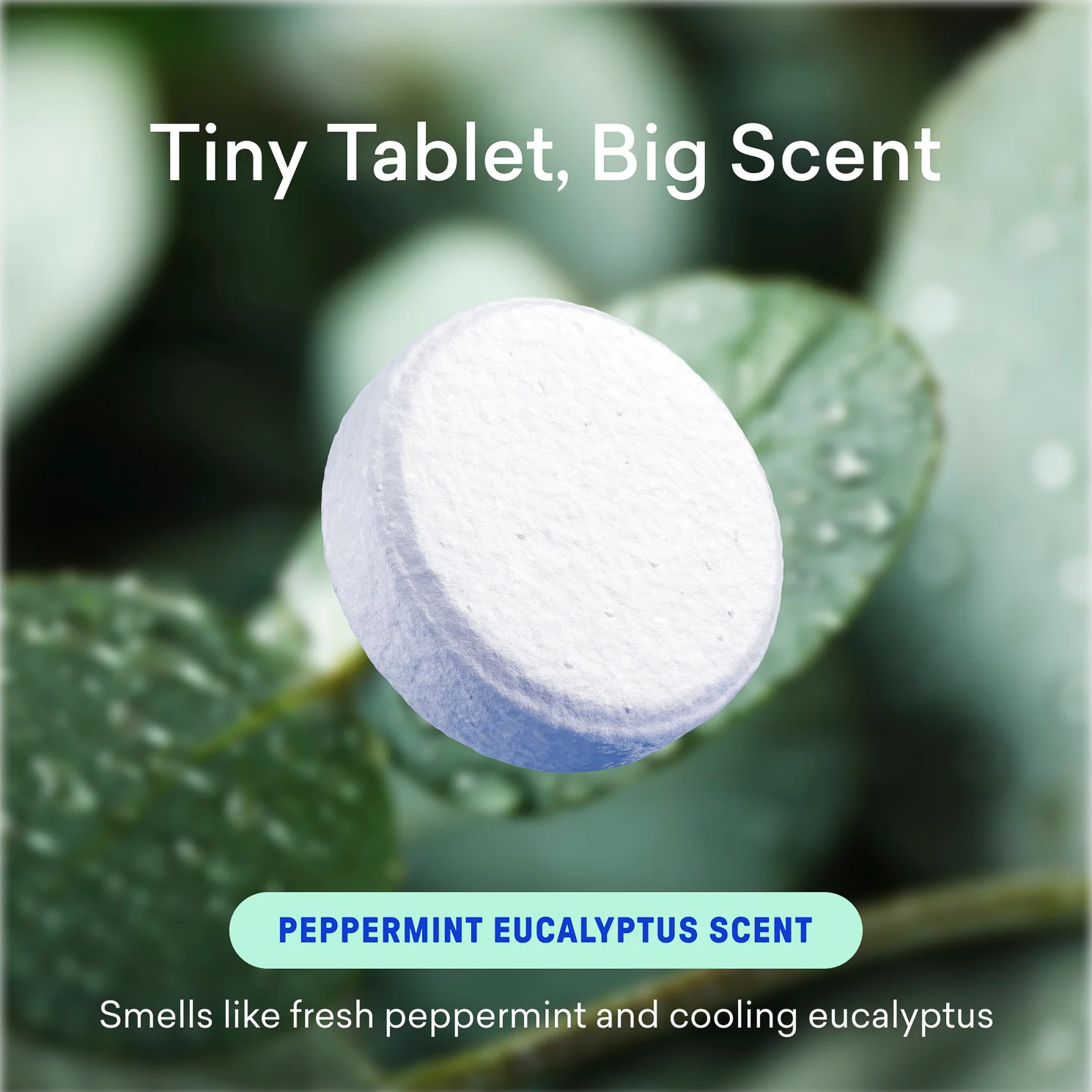 Toilet Bowl Cleaner Tablet Refills - Image 6