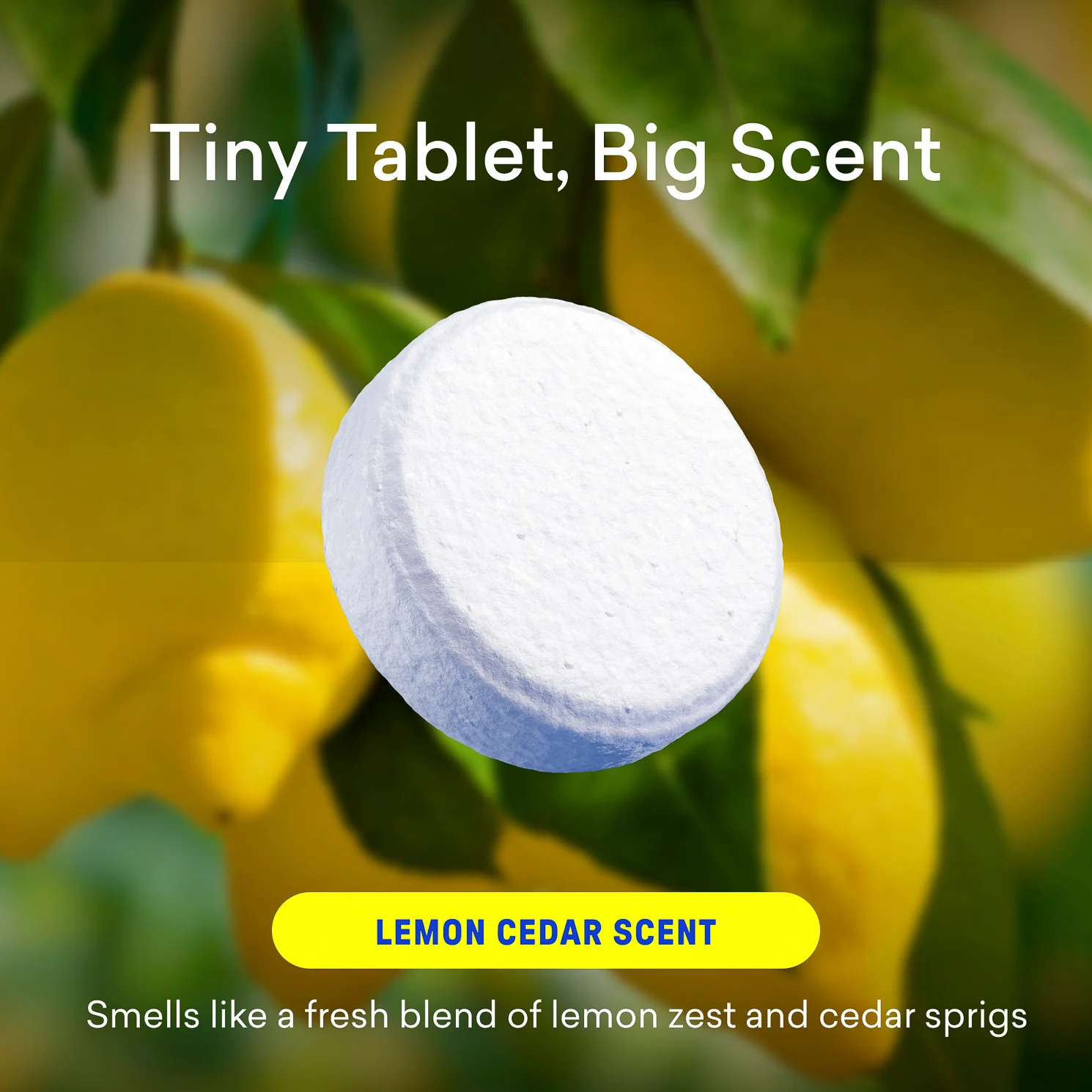 Toilet Bowl Cleaner Tablet Refills - Image 5