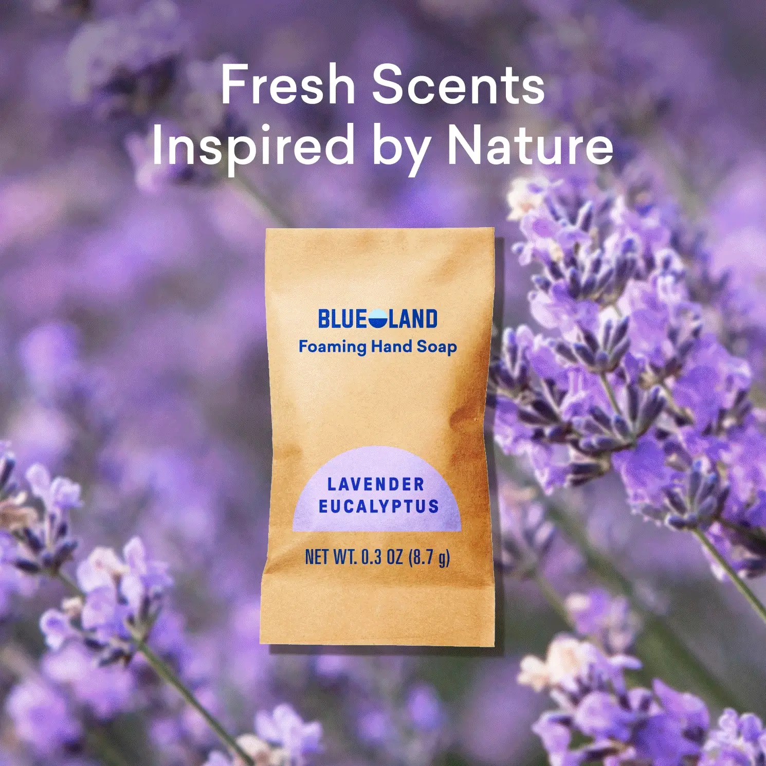 Hand Soap Duo - Image 4