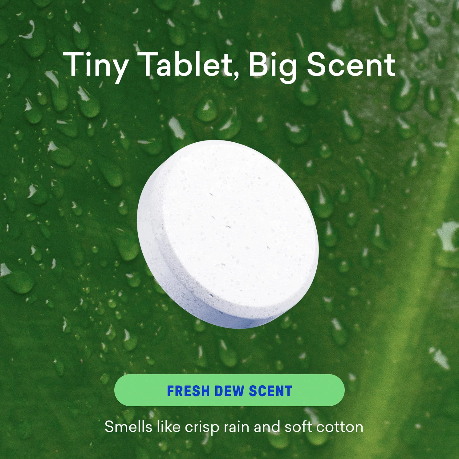 Laundry Detergent Tablet Refills - Image 6