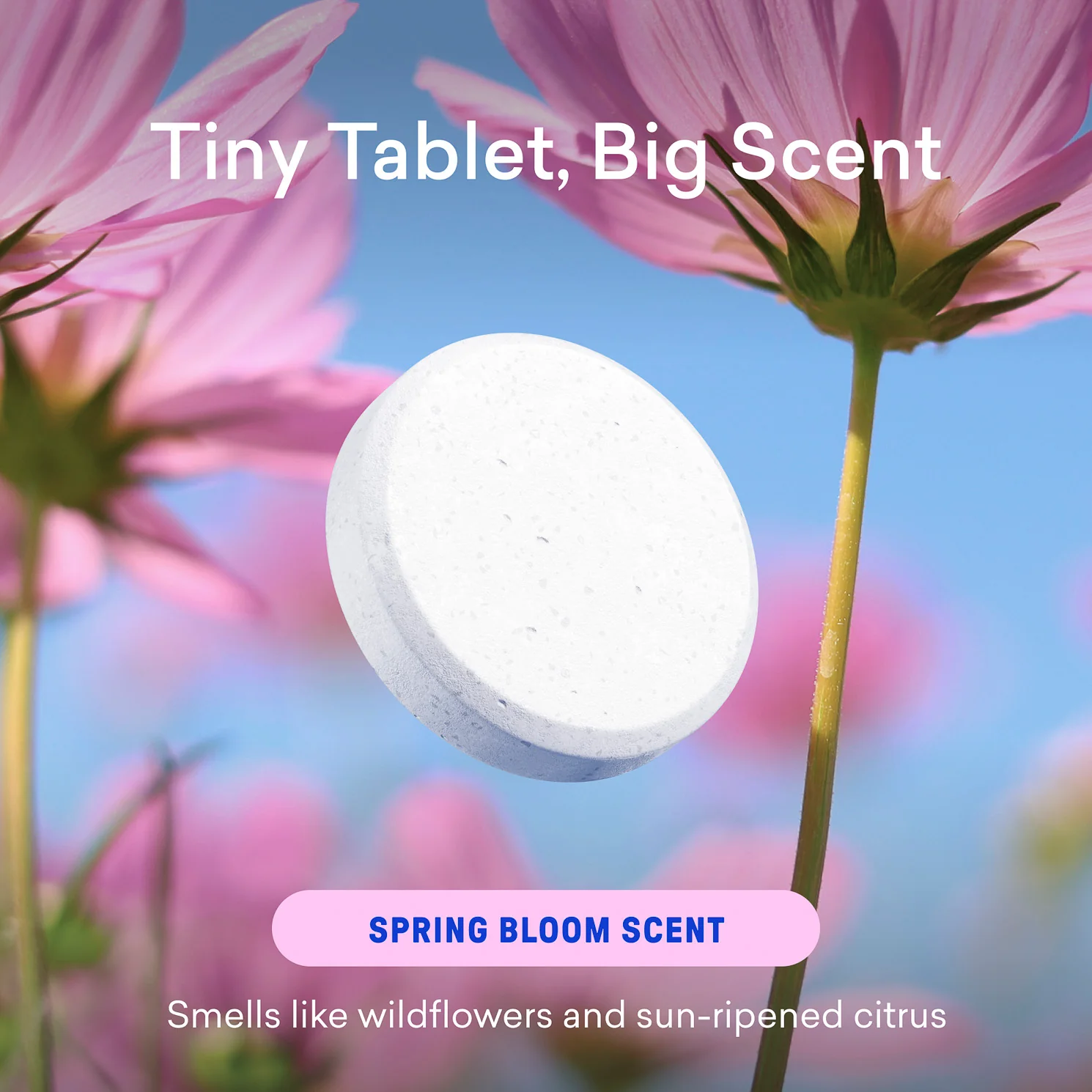 Laundry Detergent Tablet Refills - Image 7